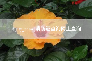 阿里消防证查询网上查询