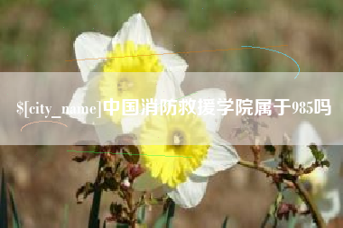 阿里中国消防救援学院属于985吗