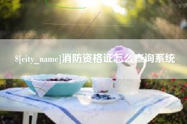 阿里消防资格证怎么查询系统