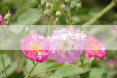 阿里第九金是