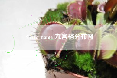 阿里九宫格分布图