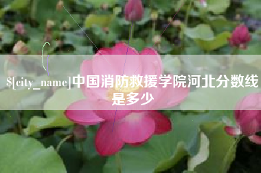阿里中国消防救援学院河北分数线是多少