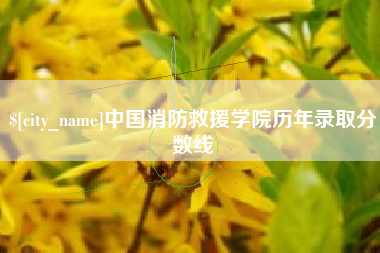 阿里中国消防救援学院历年录取分数线
