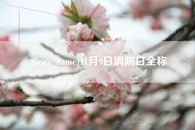 阿里11月9日消防日全称