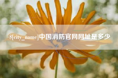 阿里中国消防官网网址是多少