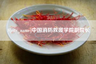 阿里中国消防救援学院副院长
