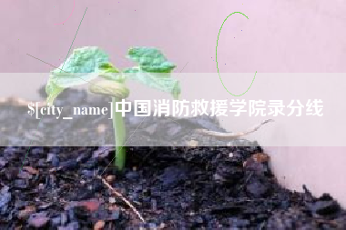 阿里中国消防救援学院录分线