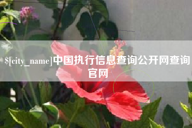 阿里中国执行信息查询公开网查询官网