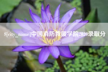 阿里中国消防救援学院2020录取分
