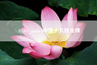 阿里中国十九枚金牌