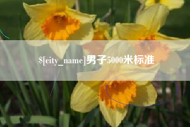 阿里男子5000米标准