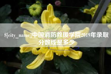 阿里中国消防救援学院2019年录取分数线是多少