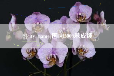 阿里国内5000米成绩