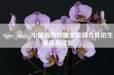 阿里中国消防救援学院简介及招生章程指挥部