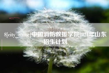 阿里中国消防救援学院2021年山东招生计划