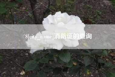 阿里消防证的查询