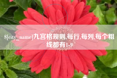 阿里九宫格规则,每行,每列,每个粗线都有1-9