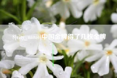 阿里中国金牌得了几枚金牌