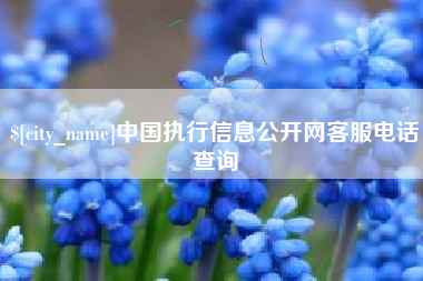 阿里中国执行信息公开网客服电话查询