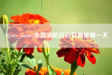 阿里全国消防日的日期是哪一天