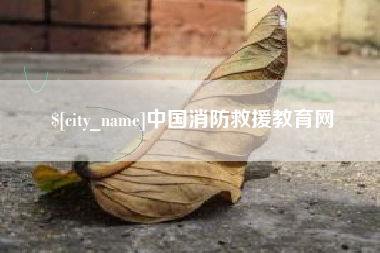 阿里中国消防救援教育网