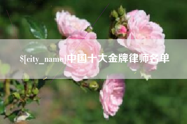 阿里中国十大金牌律师名单