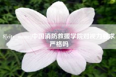 阿里中国消防救援学院对视力要求严格吗