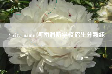 阿里河南消防学校招生分数线