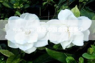 阿里现在中国金牌是多少