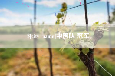 阿里中国队 冠军