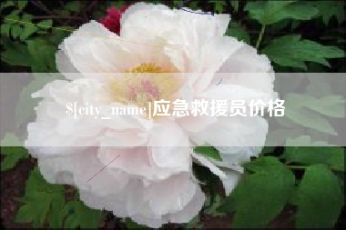 阿里应急救援员价格