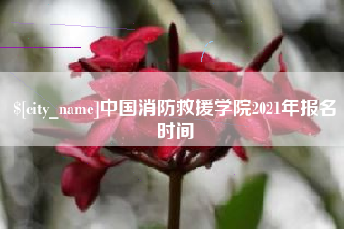 阿里中国消防救援学院2021年报名时间