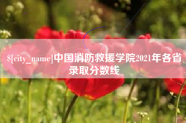 阿里中国消防救援学院2021年各省录取分数线