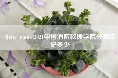 阿里2021中国消防救援学院分数线是多少