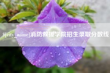 阿里消防救援学院招生录取分数线
