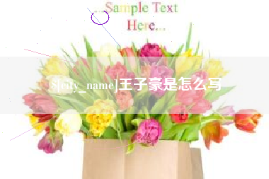 阿里王子豪是怎么写