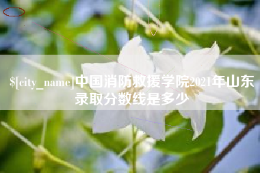 阿里中国消防救援学院2021年山东录取分数线是多少