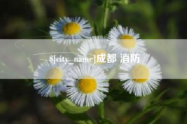 阿里成都 消防