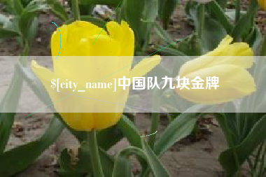 阿里中国队九块金牌