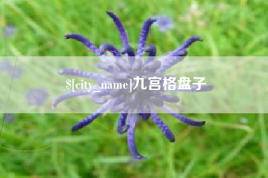 阿里九宫格盘子
