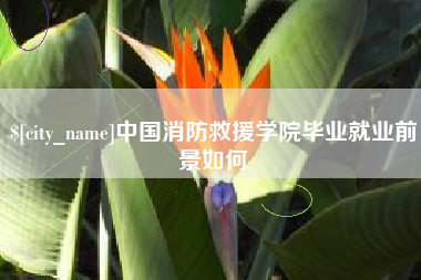阿里中国消防救援学院毕业就业前景如何