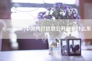 阿里中国执行信息公开网是什么东西