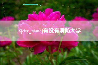 阿里有没有消防大学