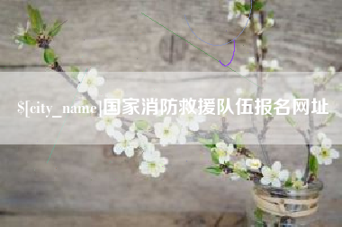 阿里国家消防救援队伍报名网址