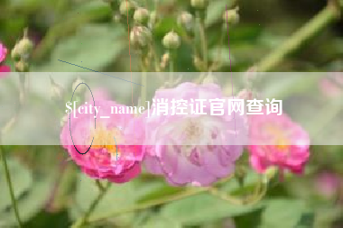 阿里消控证官网查询