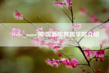 阿里中国消防救援学院介绍