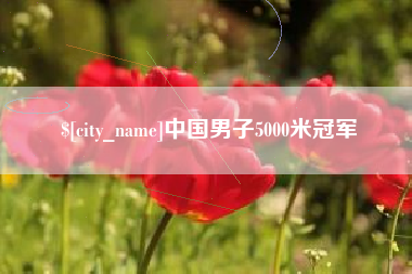 阿里中国男子5000米冠军