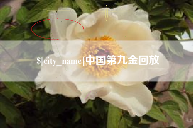 阿里中国第九金回放