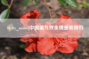 阿里中国第九枚金牌是谁得的