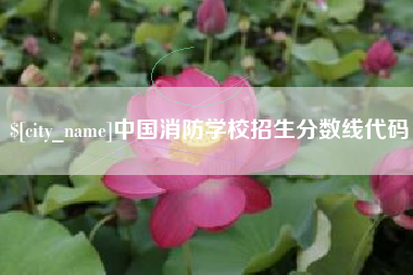 阿里中国消防学校招生分数线代码